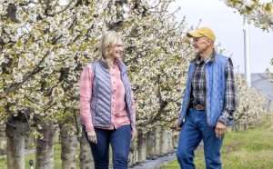 Paige Hake, left, and her father, Orlin Knutson, in their organic Chelan cherry block in Mattawa, Washington. Hake is one of several participants in a Northwest Cherry Growers campaign that highlights women in the cherry industry and ties into the United Nations’ designation of 2026 as the International Year of the Woman Farmer. (TJ Mullinax/Good Fruit Grower)