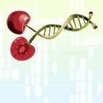Cherry identification down to the DNA details Cherry DNA