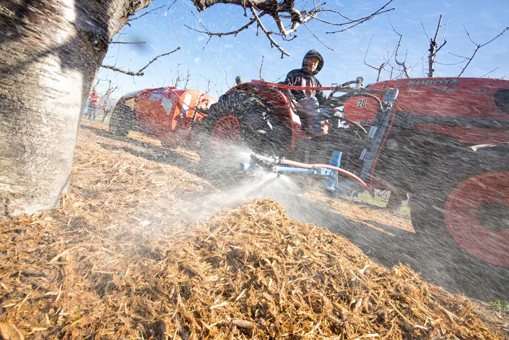 Agricultural lime is sprayed over fresh mulch in one of Mike Omeg’s cherry blocks in March during an Oregon State University soils workshop in The Dalles, Oregon. The addition of the lime and water solution provides calcium to the compost. <b>(TJ Mullinax/Good Fruit Grower)</b>