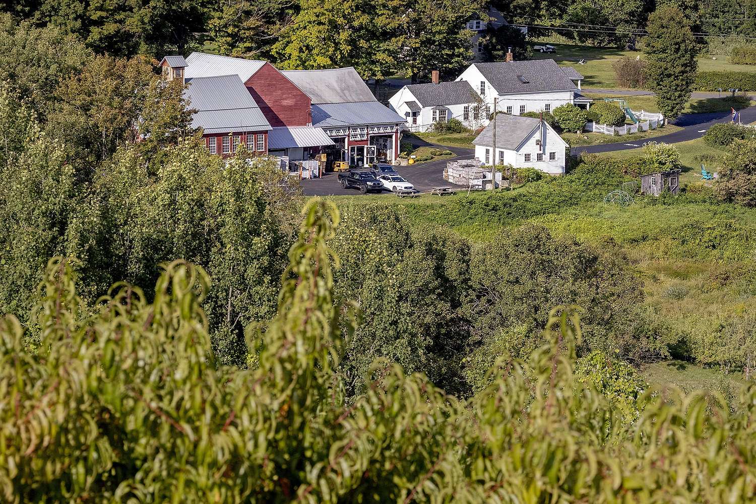 Farms shifting for success A view of Clarkdale Fruit Farms in Deerfield, Massachusetts, from a peach block last September. Peaches are a popular and profitable crop but vulnerable to spring frosts. Clarkdale is run by Tom Clark and his son, Ben, and, like other growers in the region, they prefer to grow peaches on hilltops. (TJ Mullinax/Good Fruit Grower)