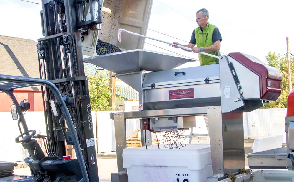 Co Dinn, the longtime winemaker and director of winemaking for Hogue Cellars, has opened up his own shop in Sunnyside, Washington, and prepares to press a half-ton of Malbec grapes from Elephant Mountain Vineyard at his new winery in September. <b> (Shannon Dininny/Good Fruit Grower)</b>
