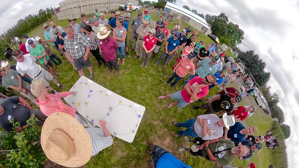 Growers shared insights during a field day organized by Cornell Cooperative Extension’s Lake Ontario Fruit Program in Niagara County, New York, on Thursday, July 18, 2019. (TJ Mullinax/Good Fruit Grower)