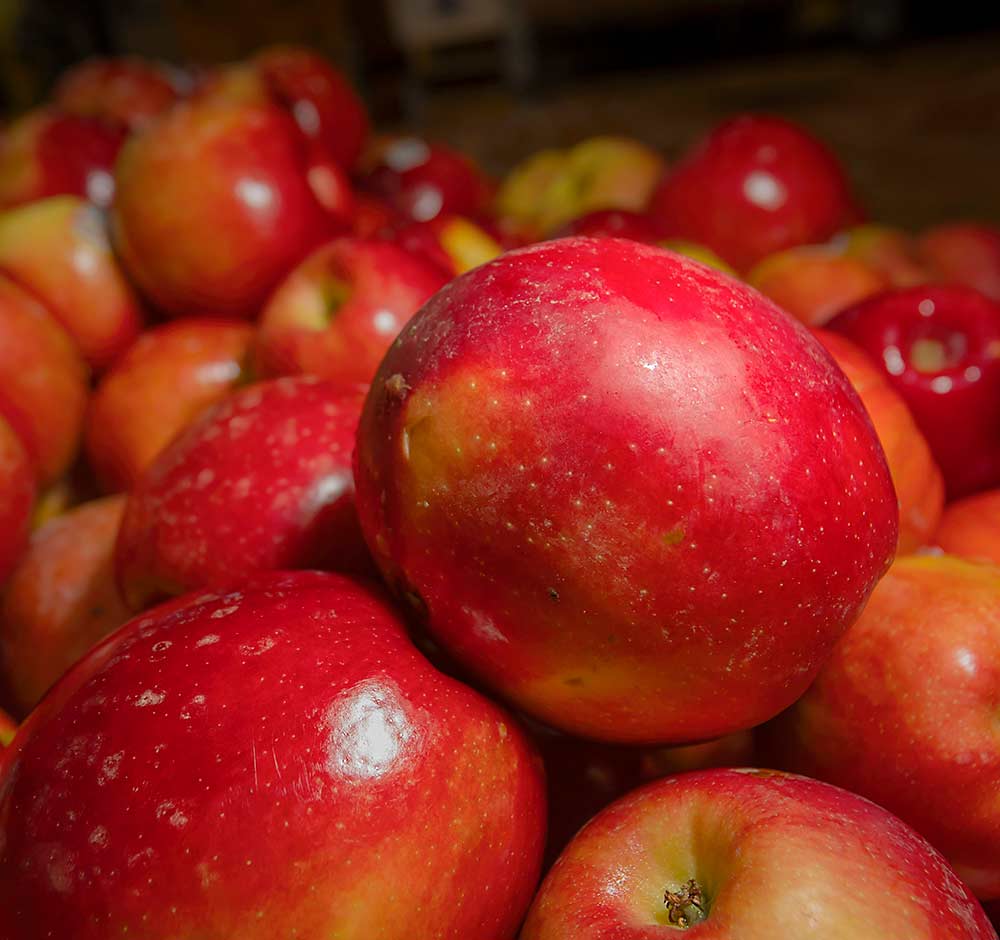 Fresh Organic Cosmic Crisp Apple  Central Market - Really Into Food