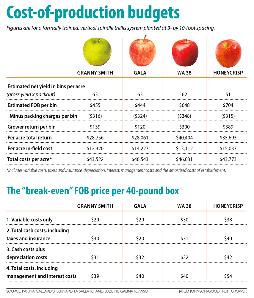 Information from Washington State University's cost-of-production budgets for four apple varieties. (Source: Karina Gallardo, Bernardita Sallato and Suzette Galinato/WSU; Graphic: Jared Johnson/Good Fruit Grower)