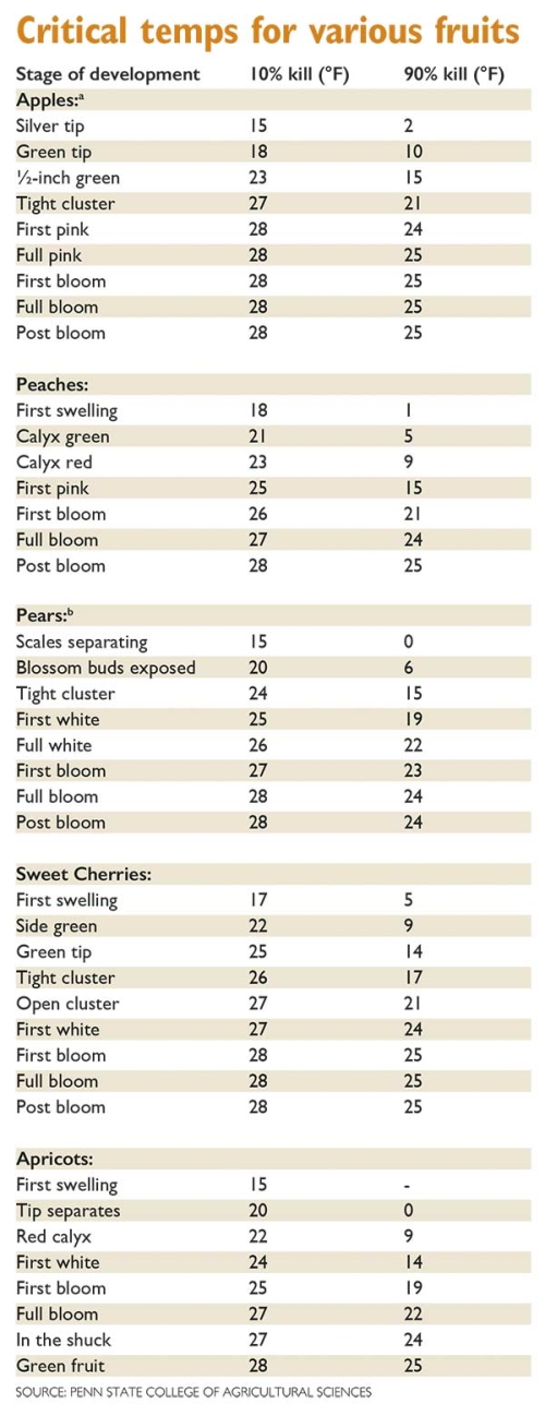 Know your critical temperatures as East Coast freeze arrives – Good ...