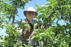 Jason Deveau, application technology specialist with the Ontario Ministry of Agriculture, Food and Rural Affairs, encourages growers to spray smarter to improve pesticide coverage, reduce drift and save some money. (Courtesy Ken Sapsford)