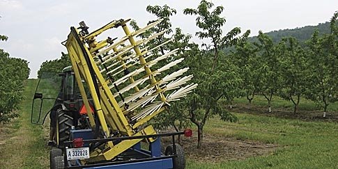 A drum shaker to thin off green fruit in soft fruit orchards is being tested in Pennsylvania. 