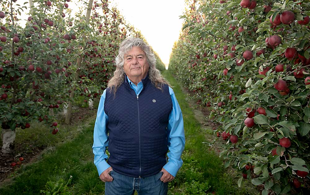 “I’ll be honest, it’s been a great long ride, but I am glad I don’t have to face the next 50 years. I made a lot of money in organics for a long time, but I don’t know if that niche is a viable strategy anymore.” —Dain Craver, 2019 Good Fruit Grower of the Year, in his Royal City, Washington, orchard. (TJ Mullinax/Good Fruit Grower)