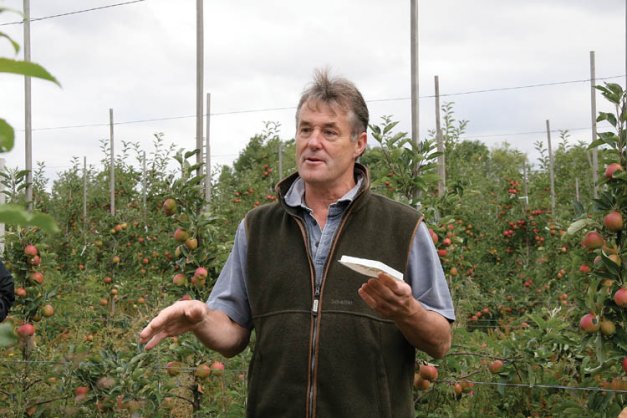Peter Hall explains how the Exosex mating disruption system works. Pheromone lures and pheromone-impregnated powder are placed in dispensers on a 20-meter (66-foot) grid in the orchard. Male moths that are lured into the dispensers, which resemble wing traps, and become coated with the powder. Their pheromone receptors become overloaded so they cannot detect females. When they exit the dispensers, the males act as mobile pheromone dispensers, causing confusion among other male moths and reducing their chances of mating.