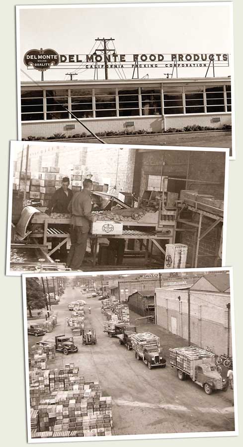 A 1951 photo shows the sign above the Del Monte Foods office at the Yakima, Washington, processing facility. The office, with the same windows, is still there today. The center photo, taken around 1950, shows workers dumping peaches by hand. At bottom, trucks line up to deliver peaches in 1948. <b>(Historical photos Courtesy Del Monte Foods)</b>