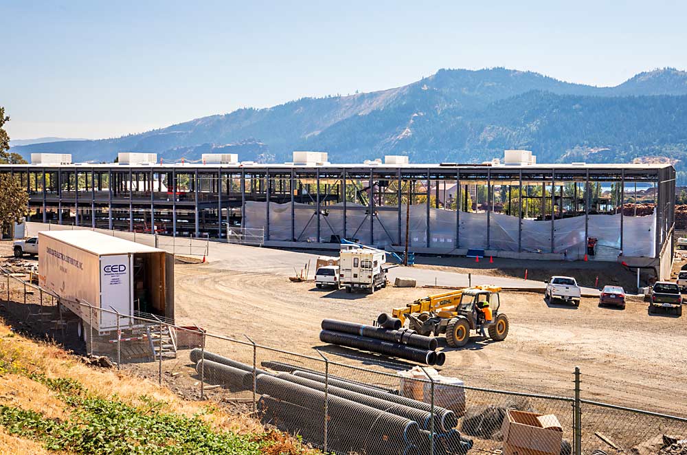 Crews build a new fruit packing facility at the Mt. Adams Fruit Co. in September in Bingen, Washington, to replace the structure destroyed by a 2017 fire. (TJ Mullinax/Good Fruit Grower)
