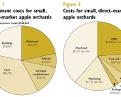 Source: Thaddeus McCamant (Jared Johnson/Good Fruit Grower illustration)