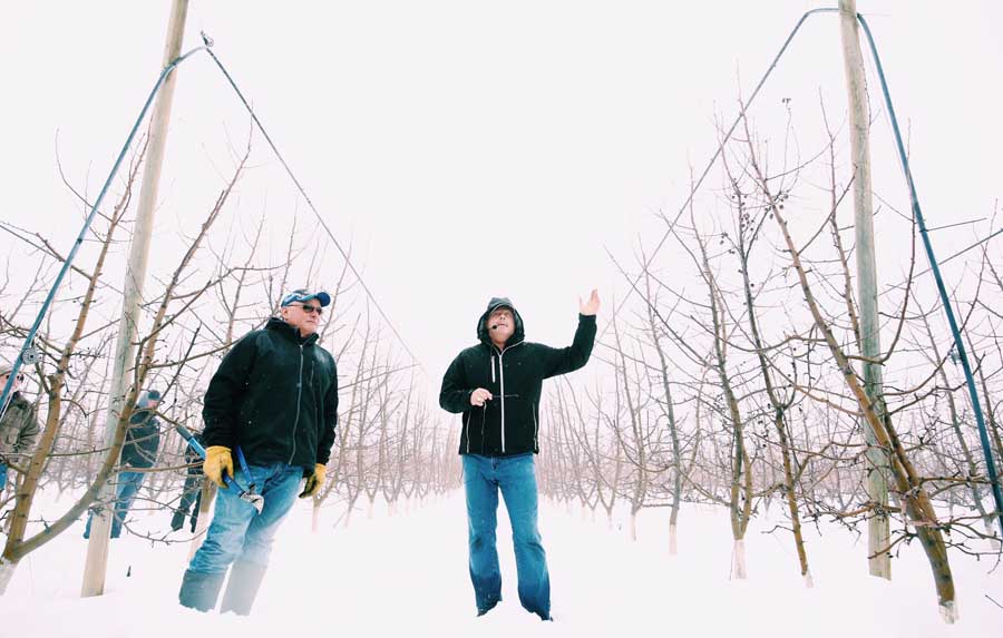 Jim Divis talks about benefits of using foggers to manage sunburn instead of overhead sprinklers at his Brewster farm. <b>(TJ Mullinax/Good Fruit Grower)</b>