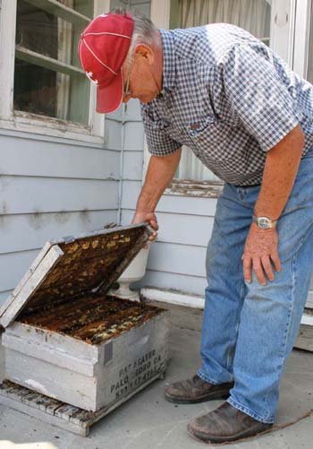 The strength of a bee colony is important, but it is difficult to assess without looking inside.
