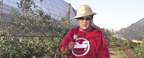 Rommel Corral’s Gala planting was hit by hail five times in the second leaf, before he installed the hail net. Some trees were lost to fireblight.