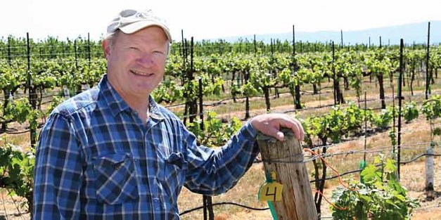 Like many Yakima Valley wine grape growers, Dick Boushey was an apple grower first. His last apple block has been replanted to wine grapes, but he still has a Rainier cherry block.