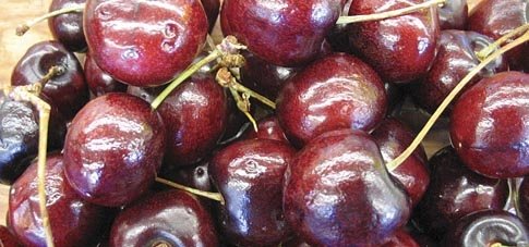 An example of surface pitting on Sweetheart cherries.