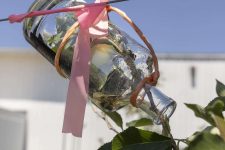 An apple destined for the farm’s brandy production is seen growing in a bottle at Golden Harvest Farms in New York