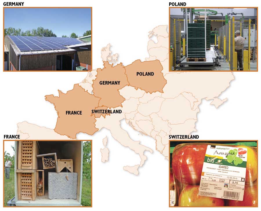 Germany (upper left): The typical packing plant in Germany has solar panels on the roof, which supply most of the facility’s power. Poland (upper right): Many of Poland’s packing houses have been built in the past decade with subsidies from the European Union and feature modern robotic equipment. France (lower left): French growers are using low-input and ecological growing methods, a strategy that has led to low yields. The grower at this orchard is providing nesting boxes for red mason bees (Osmia rufa) to enhance pollination. Switzerland (lower right): The packaging of these Idared apples, on sale at a Swiss grocery store, provides consumers with a lot of information, including: variety name, taste group (mild, sweet), region of origin, name of the organic certifier, date of packing (June 12), weight, and price (the equivalent of U.S.$3 a pound). <b>(Jared Johnson/Good Fruit Grower)</b>