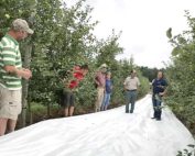 Tom and Alison DeMarree host an Extenday fabric demonstration in a Honeycrisp block at their farm in Wayne County, New York, in 2018. Cornell University’s Lake Ontario Fruit Program conducted a field trial of reflective fabric at the DeMarree farm that year. The trial determined that fabric can improve red coloring in apples, thereby improving growers’ bottom lines. (Courtesy Mario Miranda Sazo/Cornell University)