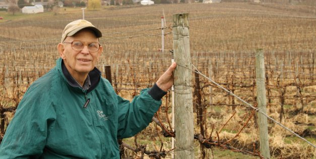 All of the vines at Badger Mountain Vineyard are trained to the Scott-Henry trellis system. Bill Powers says that the Scott-Henry is more labor intensive than other trellis systems but results in higher yields, making his 80-acre vineyard the equivalent of 100 acres.