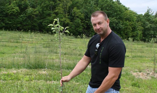 Until now, Owens has worked with orchards established conventionally and converted  to organic. 