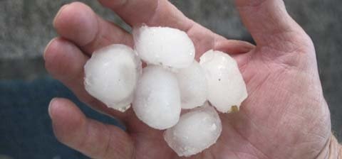 Carmen Bossenbrock with hail stones that she kept in her freezer after the storm.