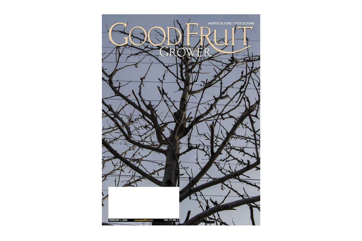 feb-01-2026-cover-feat