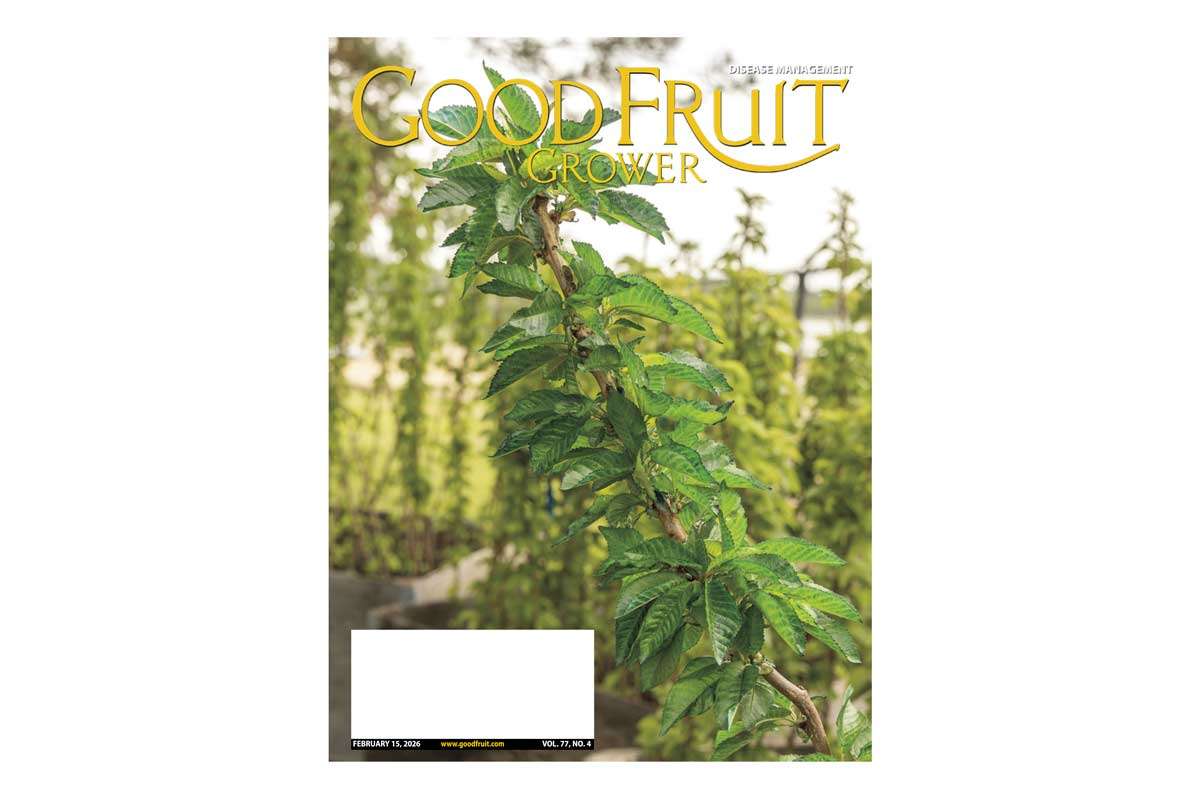 February 15, 2026 — Digital Issue feb-15-2026-cover-feat