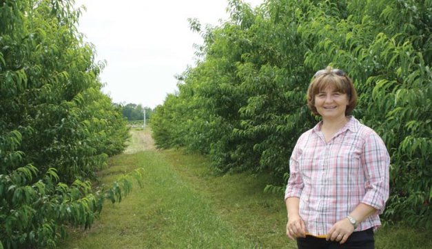 Ksenija Gasic heads Clemson University’s peach-breeding program, which was recently revived after a 25-year hiatus.