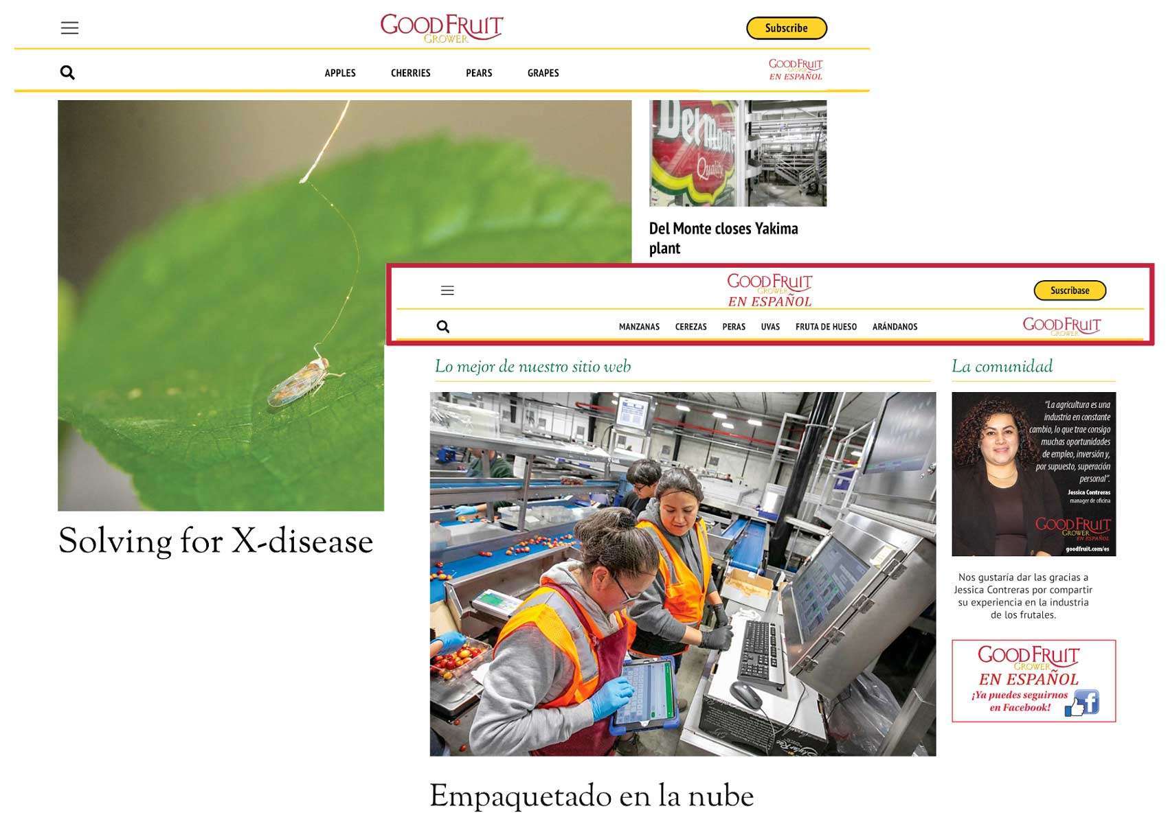 Screenshots of Good Fruit Grower's websites in English and Spanish