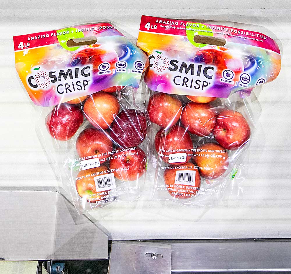 Get Ready for Cosmic Crisp Apples - #220 by JCT - General Fruit Growing -  Growing Fruit