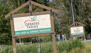 Gebbers Farms apple blocks and facilities