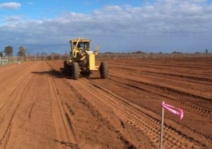 Growers should prepare their soil well before planting trees. This will encourage young trees to grow quickly for the first three years and establish root systems that are in balance with their tops (canopies). (Courtesy Bas van den Ende)