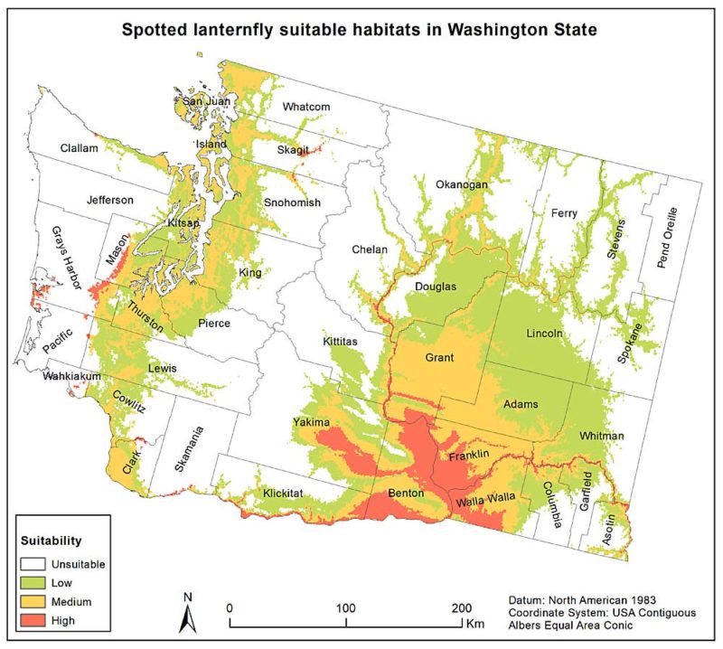 Good to Know: Spotted lanternfly risk regions mapped | Good Fruit Grower