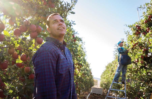 Brenton Roy in one of his Prosser, Washington orchards during the 2015 harvest. <b>(TJ Mullinax/Good Fruit Grower)</b>