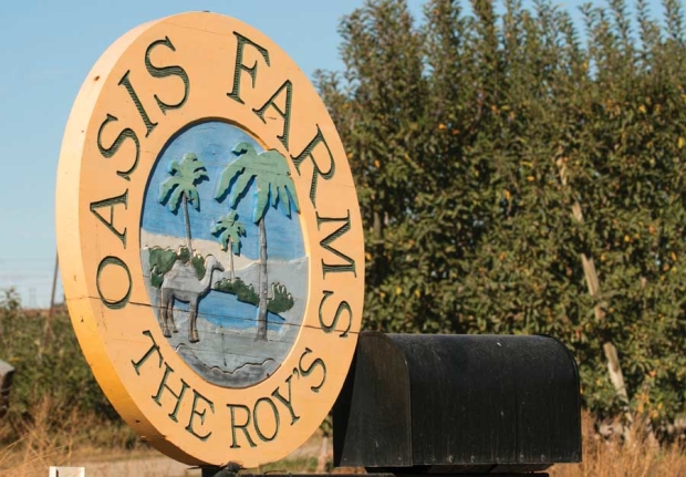 Oasis Farms company sign outside of their new office in Prosser, Washington. <b>(TJ Mullinax/Good Fruit Grower)</b>