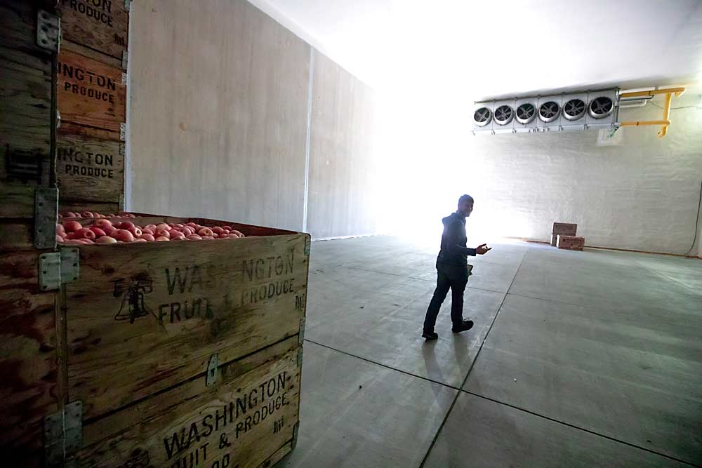 Gilbert Plath checks one of Washington Fruit and Produce Co.’s apple storage rooms in Yakima, Washington, to ensure it is being loaded properly. That includes leaving a gap between blocks of bins for better airflow, he said. Thinking about airflow can result in better room design for energy efficiency and fruit quality, according to Marc Sellwig, a German engineer who spoke at the Washington State University Postharvest Fruit School in 2018. (TJ Mullinax/Good Fruit Grower)