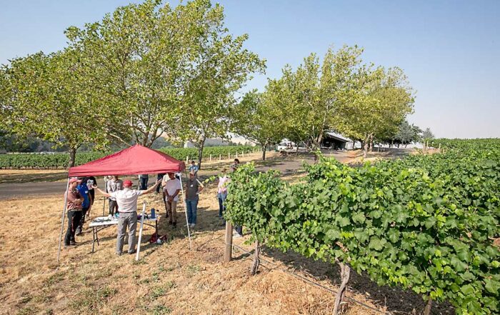 Washington State University irrigation expert Troy Peters talks about soil moisture sensing at one station during a four-part field day at Figgins Winery in Walla Walla, organized by the Washington State Grape Society and WSU Extension on Aug. 7. (TJ Mullinax/Good Fruit Grower)