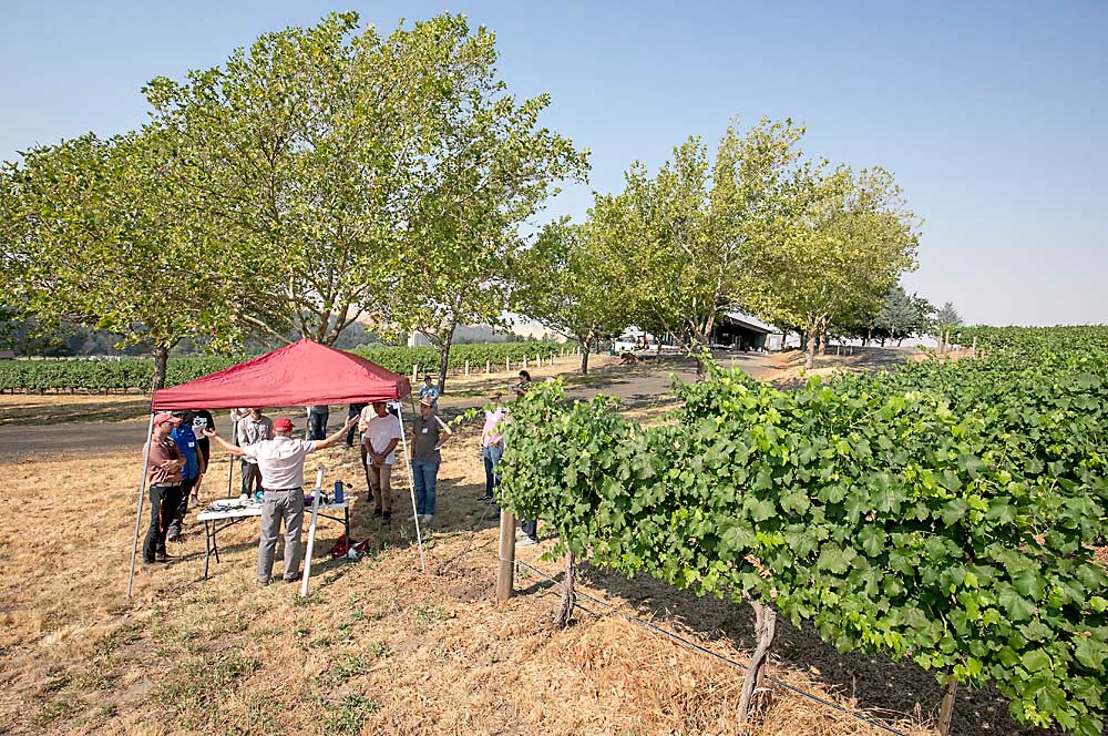 Washington State University irrigation expert Troy Peters talks about soil moisture sensing at one station during a four-part field day at Figgins Winery in Walla Walla, organized by the Washington State Grape Society and WSU Extension on Aug. 7. (TJ Mullinax/Good Fruit Grower)