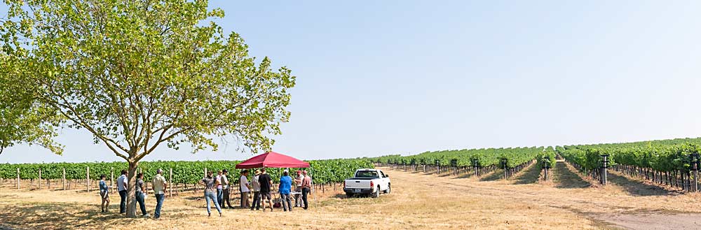 Attendees listen as Washington State University irrigation expert Troy Peters talks about soil moisture sensing at one station during a four-part field day at Figgins Winery in Walla Walla, organized by the Washington State Grape Society and WSU Extension on Aug. 7. (TJ Mullinax/Good Fruit Grower)