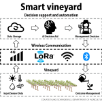 Adoption hurdles for vineyard automation The goal of automated viticulture is to tie sensors to AI-powered irrigation controls over a wireless communication network. The tools for this “feedback loop” are all commercially available, said Jake Schrader of the U.S. Department of Agriculture, but challenges stand in the way of adoption. (Courtesy Jake Schrader/U.S. Department of Agriculture)