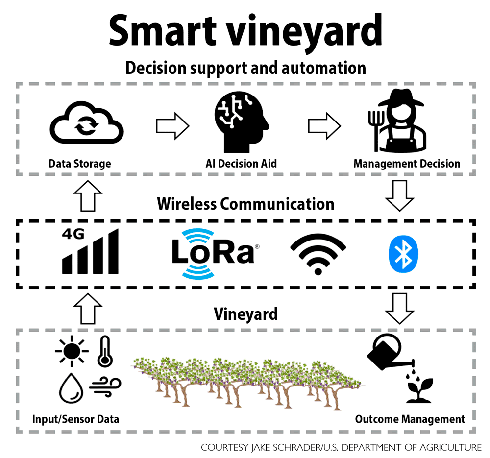 The goal of automated viticulture is to tie sensors to AI-powered irrigation controls over a wireless communication network. The tools for this “feedback loop” are all commercially available, said Jake Schrader of the U.S. Department of Agriculture, but challenges stand in the way of adoption. (Courtesy Jake Schrader/U.S. Department of Agriculture)