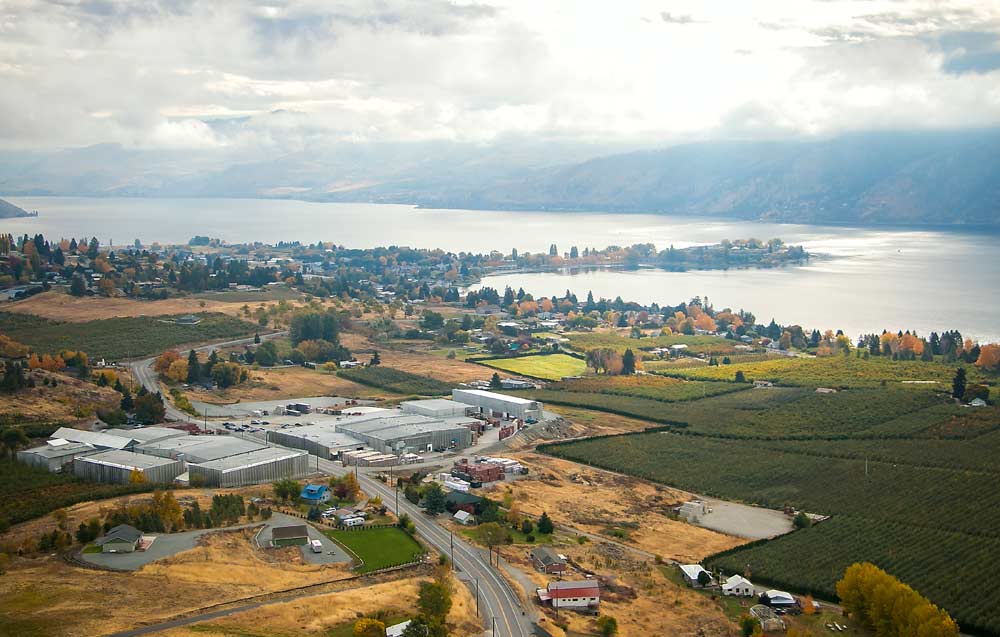 Surrounded by small orchards with traditional varieties, longtime fruit packing cooperative Manson Growers overlooks Lake Chelan in Manson, Washington. Fruit cooperatives often cater to their local growing area, providing the only packing option for small farmers. (Ross Courtney/Good Fruit Grower)