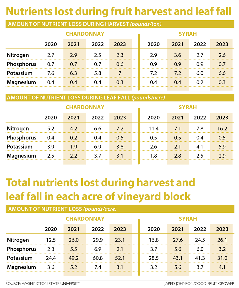 This chart shows the results of a Washington State University study on the effects of harvest and leaf fall on grapevine nutrient levels. (Source: Washington State University; Graphic: Jared Johnson/Good Fruit Grower)