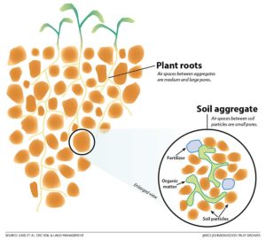 This illustration shows well-structured soil with a good range of aggregate and pore sizes. (Source: Case et al./CRC Soil and Land Management; Graphic: Jared Johnson/Good Fruit Grower)