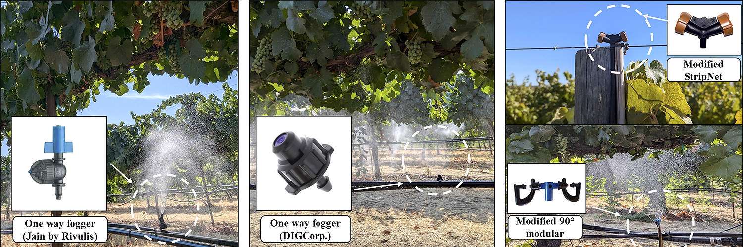 Examples of misting nozzles used for evaaporative cooling in a vineyard