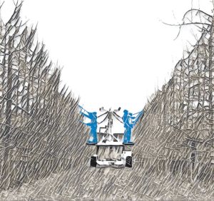 (Illustration: TJ Mullinax/Good Fruit Grower)