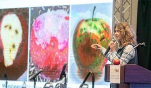 Ines Hanrahan, executive director of the Washington Tree Fruit Research Commission, speaks about disorders in Cosmic Crisp at the Washington State Tree Fruit Association’s annual meeting in December 2018. (TJ Mullinax/Good Fruit Grower)