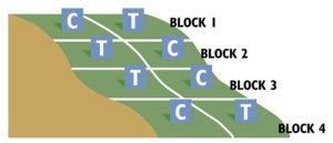 Randomization of on-farm trials keeps field variability and other factors from clouding the results with bias, to let the effect of treatments shine through. In the example above, a grower has only two treatments — a treatment and a control — and uses blocking to reduce variability in soil content, moisture or ambient temperature due to a hillside. (Courtesy Sustainable Agriculture Research and Education)